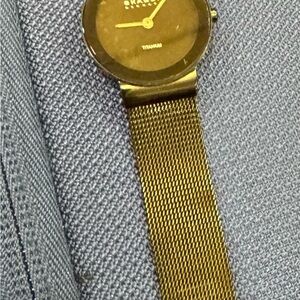 Skagen Titanium Black Watch